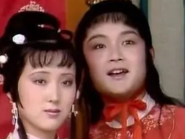 红楼梦曲，引子中的怀金悼玉是什么意思?有何含义