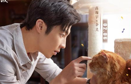 《陪你一起好好吃饭》是什么题材？主演都有哪些人？