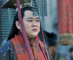 魏灭蜀之战时，大将军姜维和右大将军阎宇在做什么？