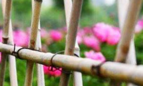 大壮卦“不能退，不能遂，无攸利，艰则吉”是吉是凶？