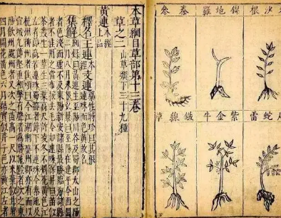 本草纲目·第三卷·百病主治·痉风原文是什么内容？
