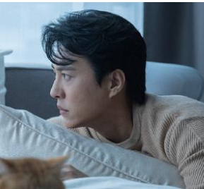 《纵有疾风起》剧情怎么样？登陆东方卫视和北京卫视
