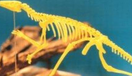 兔鳄是恐龙的祖先吗？目前被认为最接近恐龙起源的生物