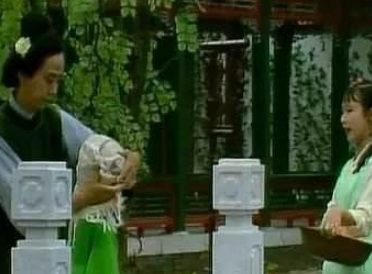 红楼梦中何婆子是什么人？她的存在有何意义？