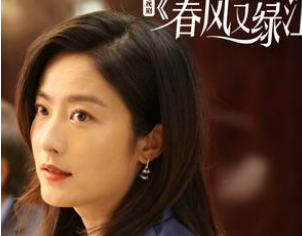 《春风又绿江南岸》是什么题材？戏骨云集的好剧