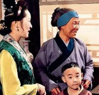红楼梦刘姥姥去贾府时带着板儿，是什么用意