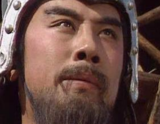汉中之战时刘备都出动了哪些大将？结果如何?