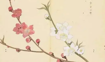 《诗经·邶风·燕燕》的原文是什么？怎么解读？