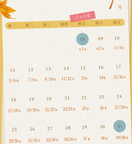 《匆匆的青春》有多少集 开播了吗