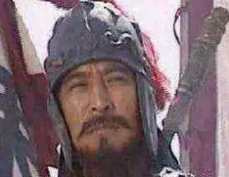 三国蜀汉政权中，有能力活抓孟获的认是谁？