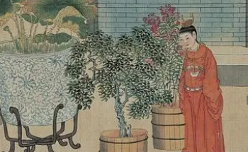 《红楼梦》放浪形骸的多姑娘有老公吗？详解多姑娘秘史