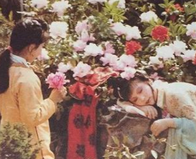 红楼梦中史湘云的影子为何是芳官？她们有何相似之处？