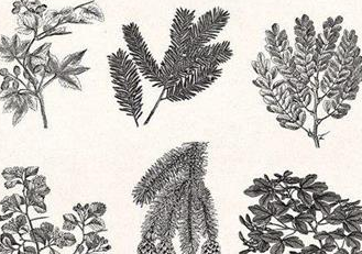 沈括的水利医学成就有哪些？详解其成就