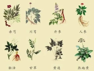 本草纲目·第三卷·百病主治·溲数遗尿原文是什么内容？