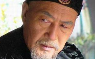 雍正帝心腹鄂尔泰有什么具体贡献吗？