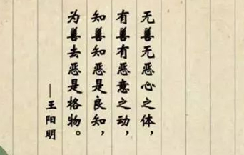 王阳明《传习录》主要想表达的思想是什么？
