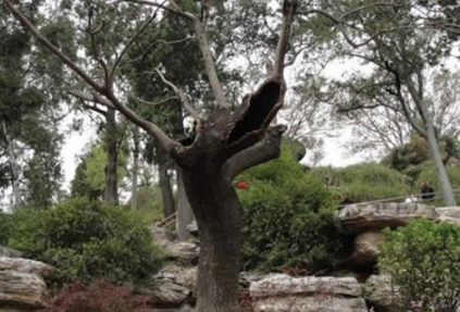 明朝崇祯皇帝的最后一天都经历了什么？