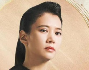 《盛装》宋佳饰演的是谁？配角都是腕儿