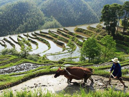 古代王朝都因为农民被推翻 古人种地真的不挣钱吗
