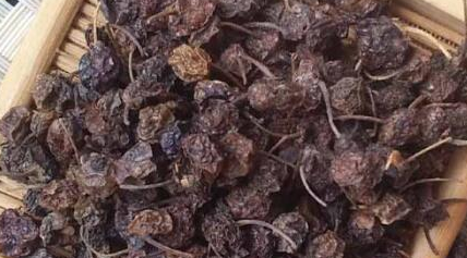 经过科学家的探索，龙葵子有怎样的功效和药用价值？