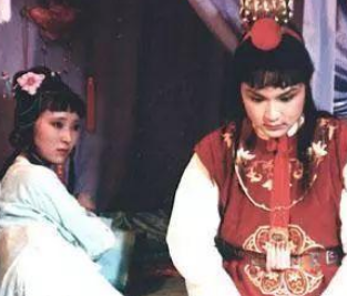 红楼梦薛姨妈举家进京真的是为了薛宝钗选举之事？