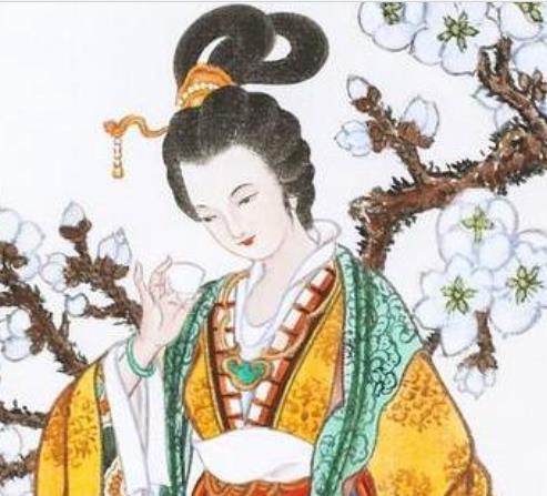 唐朝的&ldquo;安史之乱&rdquo;有没有杨贵妃的责任？