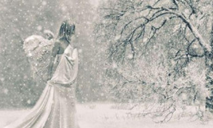 《采桑子·塞上咏雪花》原文是什么？怎么翻译？