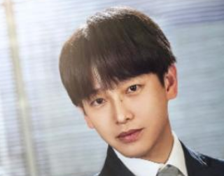 《女士的法则》在哪里播出？彭昱畅和江疏影上演“姐弟恋”