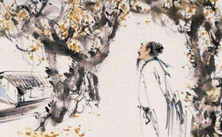 元稹的《菊花》原文是什么？如何理解？