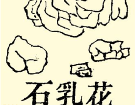本草纲目·第七卷·金石部·花乳石原文是什么内容？