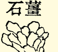 本草纲目·第七卷·金石部·姜石具体内容是什么？