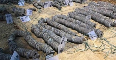私铸五铢钱是死罪，刘贺到底有没有私自铸钱？