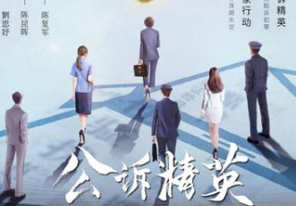 《公诉精英》演员阵容怎么样？迪丽热巴佟大为主演