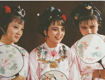 红楼梦贾环为何没有向姐姐一样与王夫人生活？