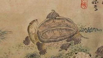 曹操《龟虽寿》原文是什么？怎么翻译？