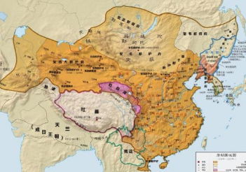 南诏大理国是如何立国并发展的？留下了哪些史料？
