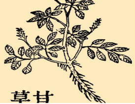 本草纲目·第八卷·草部·甘草具体内容是什么？