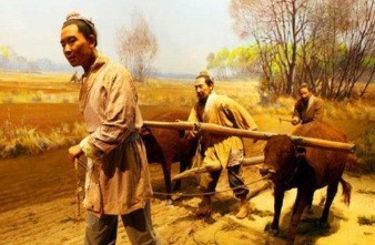为了粮食的储存和避免浪费，宋太宗出台了哪些政策？