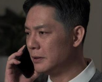 《罚罪》剧中真正的大反派真的是肖振邦吗？