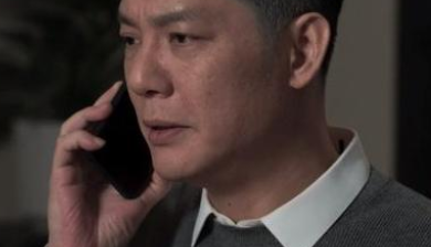 《罚罪》中的大反派不是张秋峰，而是肖振邦