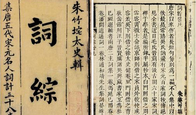 清代朱彝尊编纂的《词综》主要内容是什么？