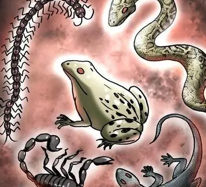 古代真的有巫蛊之术存在吗 历史上有真实杀人案例吗