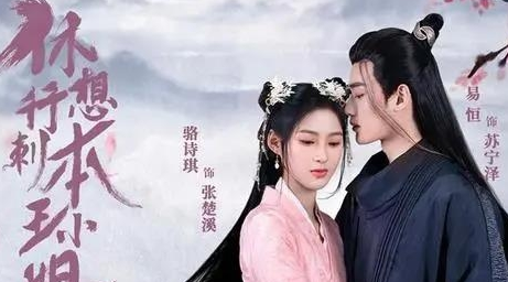《休想行刺本王小姐》剧情是什么 讲了什么故事