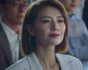 《完美伴侣》陈珊和孙磊离婚了吗？