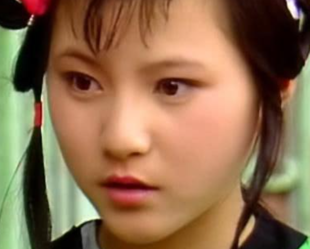 红楼梦中贾母将紫鹃拨给黛玉，是为了什么？
