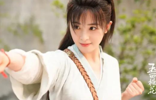 《玉面桃花总相逢》是根据小说改编的吗 小说名字是什么