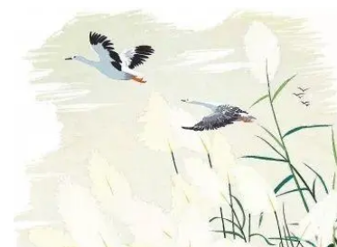 镜花缘第八十五回：论韵谱冷言讥沈约，引毛诗佳句美庄姜