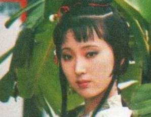 红楼梦中黛玉不让香菱学习陆游的诗，是因为什么?