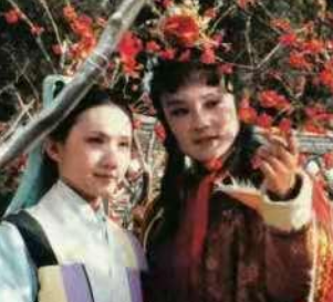 红楼梦中宝玉三天两头就要去栊翠庵，是因为什么？