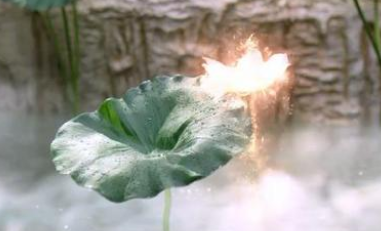 《沉香重华》应渊的儿子苟诞的真身为什么是莲花？